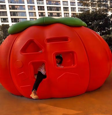 Good price Outdoor Children's Play Facilities Plastic Rotational Mould Toys Customized online